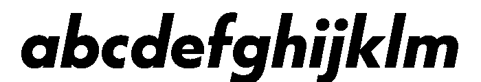 WorkhorseGeometric BoldOblique Instance FONT