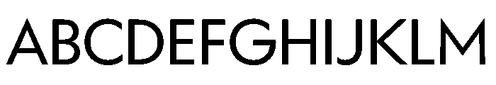 WorkhorseGeometric Book Instance Font UPPERCASE