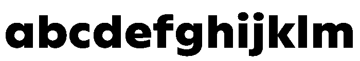 WorkhorseGeometric MicroBlack Instance FONT