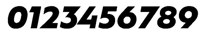 WorkhorseGeometric MicroBlackOblique Instance Font OTHER CHARS