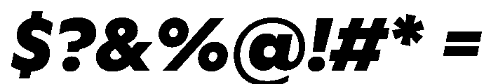 WorkhorseGeometric MicroBlackOblique Instance Font OTHER CHARS