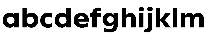 WorkhorseGeometric MicroBold Instance FONT