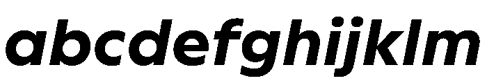 WorkhorseGeometric MicroBoldOblique Instance FONT