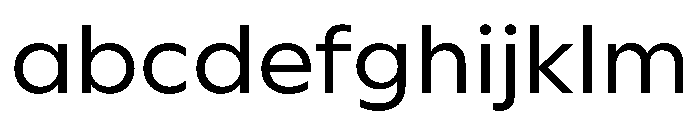 WorkhorseGeometric MicroBook Instance FONT