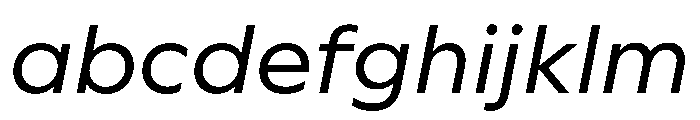 WorkhorseGeometric MicroBookOblique Instance FONT