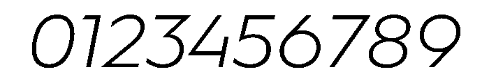 WorkhorseGeometric MicroLightOblique Instance Font OTHER CHARS