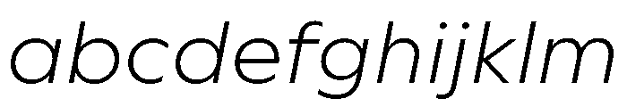 WorkhorseGeometric MicroLightOblique Instance FONT