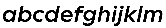 WorkhorseGeometric MicroSemiboldOblique Instance FONT