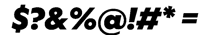 WorkhorseGeometric TextBlackOblique Instance Font OTHER CHARS