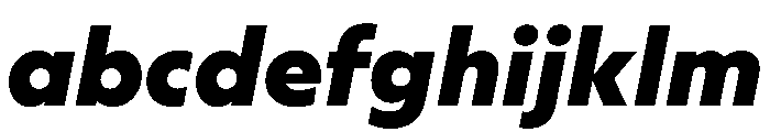 WorkhorseGeometric TextBlackOblique Instance FONT