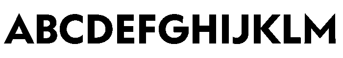 WorkhorseGeometric TextBold Instance Font UPPERCASE