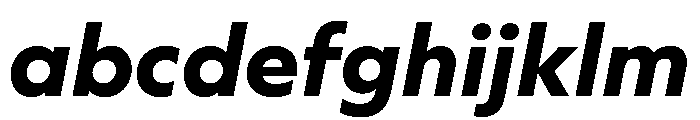 WorkhorseGeometric TextBoldOblique Instance FONT