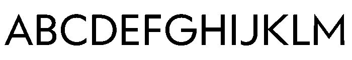 WorkhorseGeometric TextBook Instance Font UPPERCASE