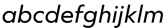 WorkhorseGeometric TextBookOblique Instance FONT
