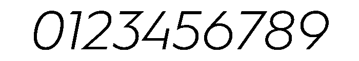 WorkhorseGeometric TextLightOblique Instance Font OTHER CHARS