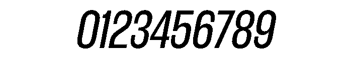 WorkhorseGothic1 BookOblique Instance Font OTHER CHARS