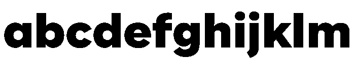 WorkhorseNouveau Black Instance FONT