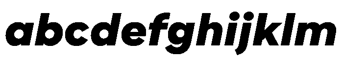WorkhorseNouveau BlackOblique Instance FONT