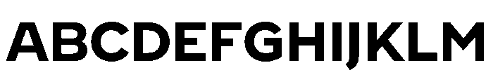 WorkhorseNouveau Bold Instance Font UPPERCASE