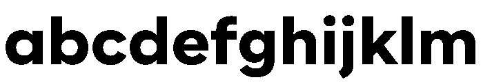 WorkhorseNouveau Bold Instance FONT