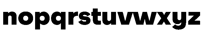 WorkhorseNouveauTracking Black Instance Font LOWERCASE