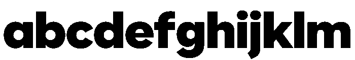 WorkhorseNouveauTracking BlackClose Instance FONT