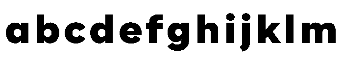 WorkhorseNouveauTracking BlackLoose Instance FONT