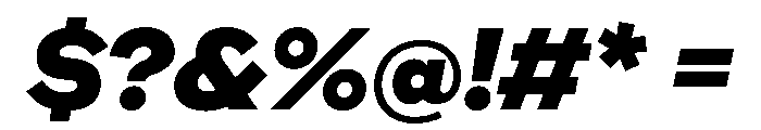WorkhorseNouveauTracking BlackOblique Instance Font OTHER CHARS