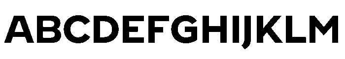 WorkhorseNouveauTracking Bold Instance Font UPPERCASE