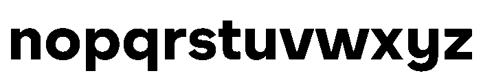 WorkhorseNouveauTracking Bold Instance Font LOWERCASE