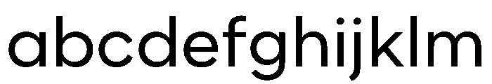 WorkhorseNouveauTracking Book Instance FONT