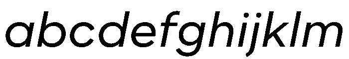 WorkhorseNouveauTracking BookOblique Instance FONT