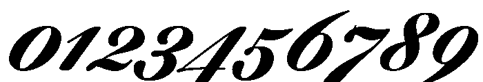 WorkhorseScript Micro Instance Font OTHER CHARS