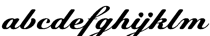 WorkhorseScript Micro Instance FONT