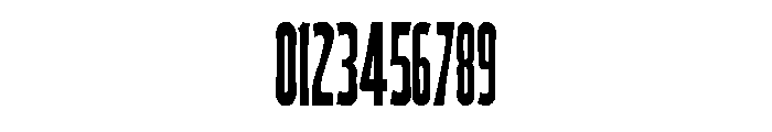 Wood Type Regular Font OTHER CHARS