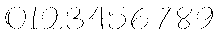 Writing Wedding Font OTHER CHARS