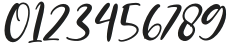 WrightBrothers-Regular otf (400) Font OTHER CHARS