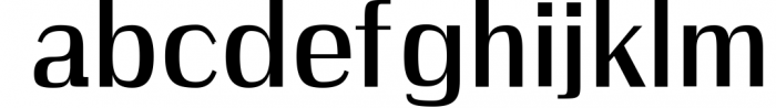 Wrenn Sans Serif 6 Font Family 1 Font LOWERCASE