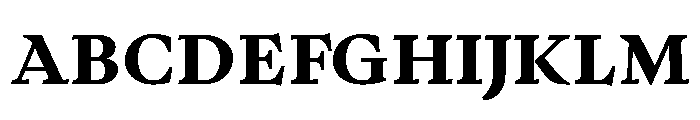 Writer Variable Regular 10 Font UPPERCASE