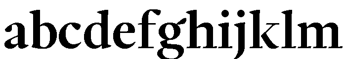 Writer Variable Regular 17 FONT