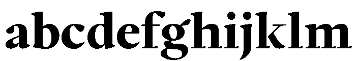Writer Variable Regular 19 FONT