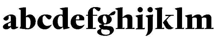 Writer Variable Regular 20 FONT