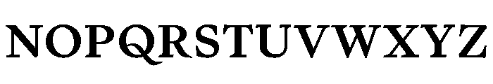 Writer Variable Regular 8 Font UPPERCASE