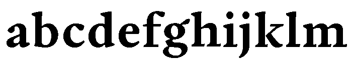 Writer Variable Regular 8 FONT