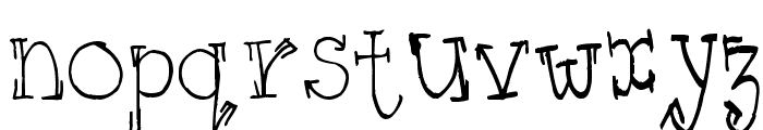 WS Serif Font LOWERCASE