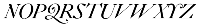 WT Solaire Display Italic Font UPPERCASE