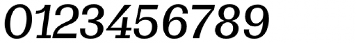 WT Volkolak Serif Caption Light Italic Font OTHER CHARS