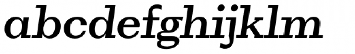 WT Volkolak Serif Caption Medium Italic Font LOWERCASE