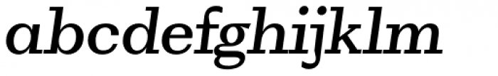 WT Volkolak Serif Caption Regular Italic Font LOWERCASE
