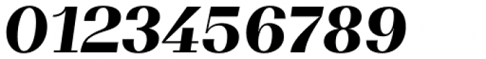 WT Volkolak Serif Display Black Italic Font OTHER CHARS